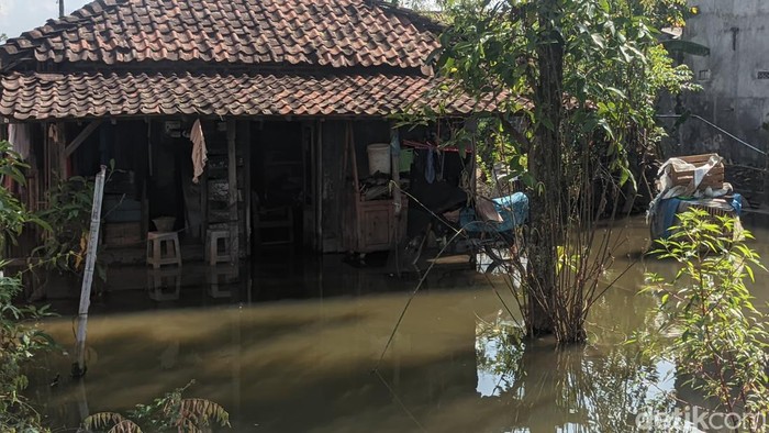 Banjir masih menggenangi Desa Dukun, Kecamatan Karangtengah, Demak, Kamis (12/1/2023).