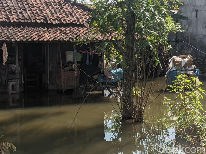 Banjir masih menggenangi Desa Dukun, Kecamatan Karangtengah, Demak, Kamis (12/1/2023).