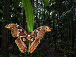 Jawara Kontes Foto Close-up Bikin Mata Terpukau