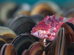 Jawara Kontes Foto Close-up Bikin Mata Terpukau
