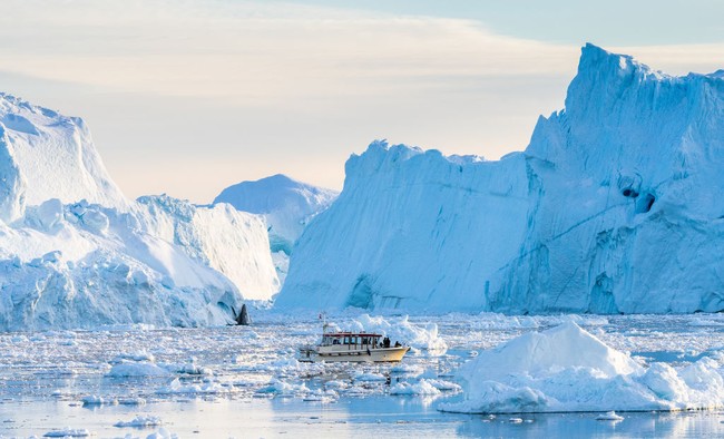 Greenland, Pulau Terbesar Dunia Ini Ingin Dijajah Donald Trump