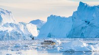 Cuaca yang sangat ekstrem ini membuat warga di Greenland ingin pindah ke tempah yang panas. Sebab, seumur hidup mereka tidak pernah merasakan cuaca panas. Ulrik Pedersen/Getty Images