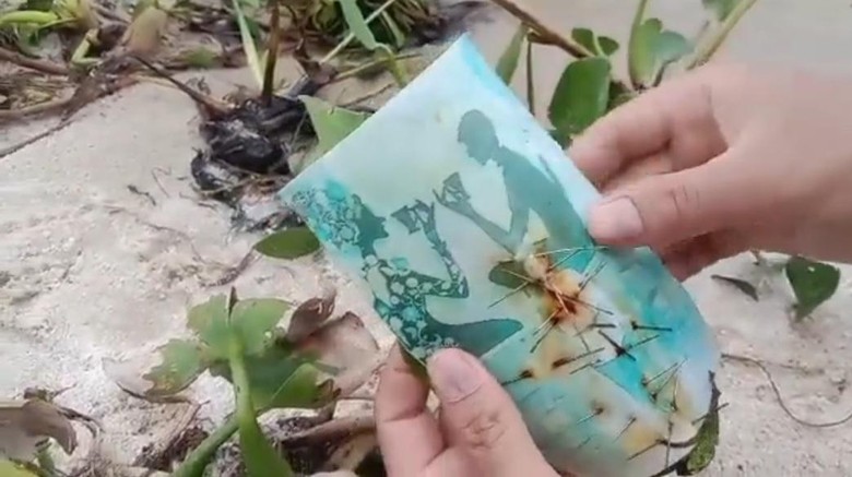 Foto yang dipenuhi jarum ditemukan di Danau Toba Foto yang dipenuhi jarum ditemukan di Danau Toba