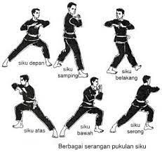 Sasaran Gerakan Memukul dalam Pencak Silat