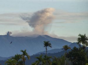 Capai 1.000 Meter, Abu Letusan Gunung Marapi Hari Ini Tertinggi Sejak Erupsi