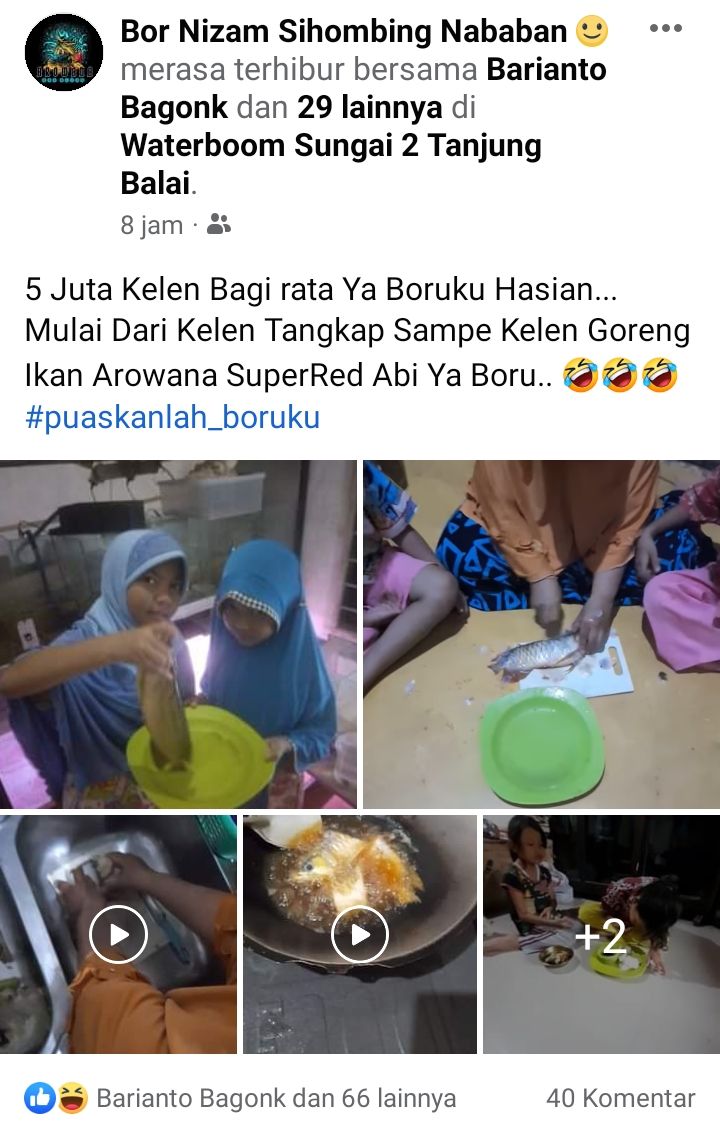Ikan arwana dimakan (Istimewa)