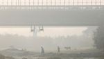 Brrr.... Suhu di India Merosot -6 Derajat Celcius Imbas Gelombang Dingin