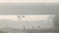 Bahkan, Danau Del yang terkenal sebagian membeku hingga sulit utuk mengangkut penumpang dan turis. Tak hanya itu, jaringan pipa air di wilayah Kashmir pun ikut membeku.