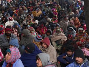 Brrr.... Suhu di India Merosot -6 Derajat Celcius Imbas Gelombang Dingin