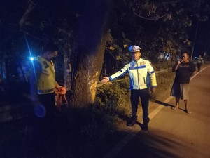 Mobil Tabrak Pohon di Ngawi hingga 5 Orang Tewas, 2 Teridentifikasi