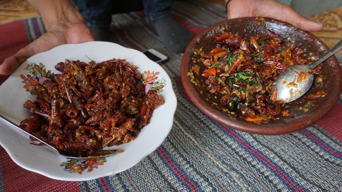 Keripik Belalang di Mojokerto Gurih dan Pedasnya Nampol