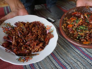 Cobain Kuliner Ekstrem, Belalang Sambal Kemangi-Krispi Pedasnya Nampol!