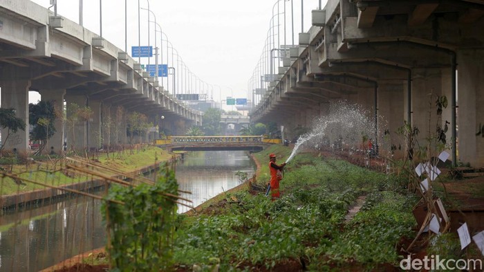 Kian Hijau, Kolong Tol Becakayu Kian Cantik Kolong Tol Becakayu terus dihijaukan. Sudah 2,7 km dari target 5 km kolong Tol Becakayu yang ditanami sistem pertanian perkotaan.