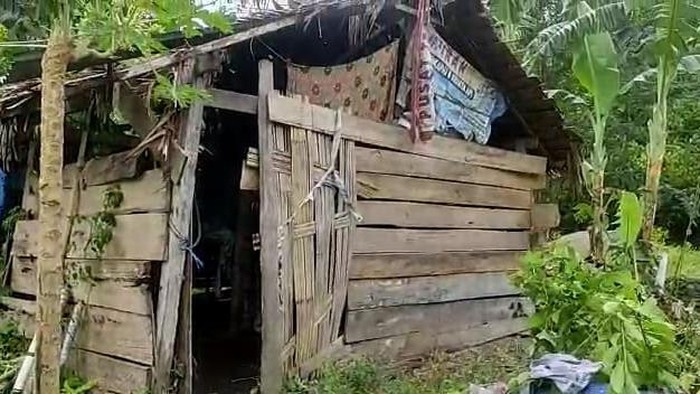 Wanita bernama Munang (50) di Kabupaten Mamuju, Sulawesi Barat (Sulbar) terpaksa tinggal di sebuah rumah reot bersama dua orang anaknya Adi (10) dan Jordi (12).
