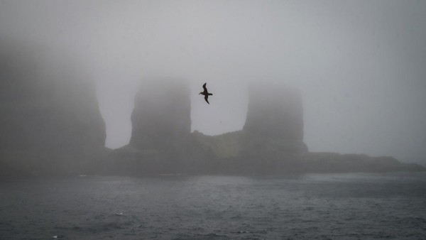 Seekor burung terbang di depan Arch of Kerguelen, Kepulauan Kerguelen, Senin (26/12/2022). (Patrick Hertzog/AFP/Getty Images) Seekor burung terbang di depan Arch of Kerguelen, Kepulauan Kerguelen, Senin (26/12/2022). (Patrick Hertzog/AFP/Getty Images)