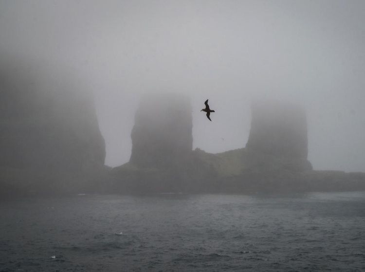 Menjelajahi Kepulauan Kerguelen, Tempat Paling Terpencil di Bumi