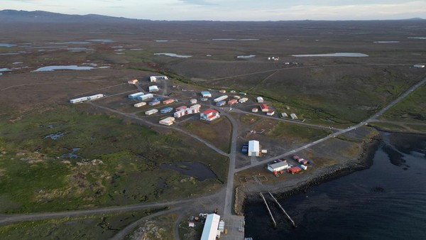 Kepulauan Kerguelen, Samudra Hindia: Surga Terpencil untuk Hewan Laut Kepulauan Kerguelen, Samudra Hindia: Surga Terpencil untuk Hewan Laut