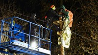 Polisi berusaha menurunkan seorang aktivis dari tiang.