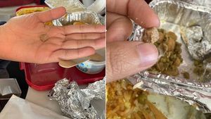 Ngeri! Wanita Ini Temukan Batu Kecil di Makanan Pesawat Miliknya