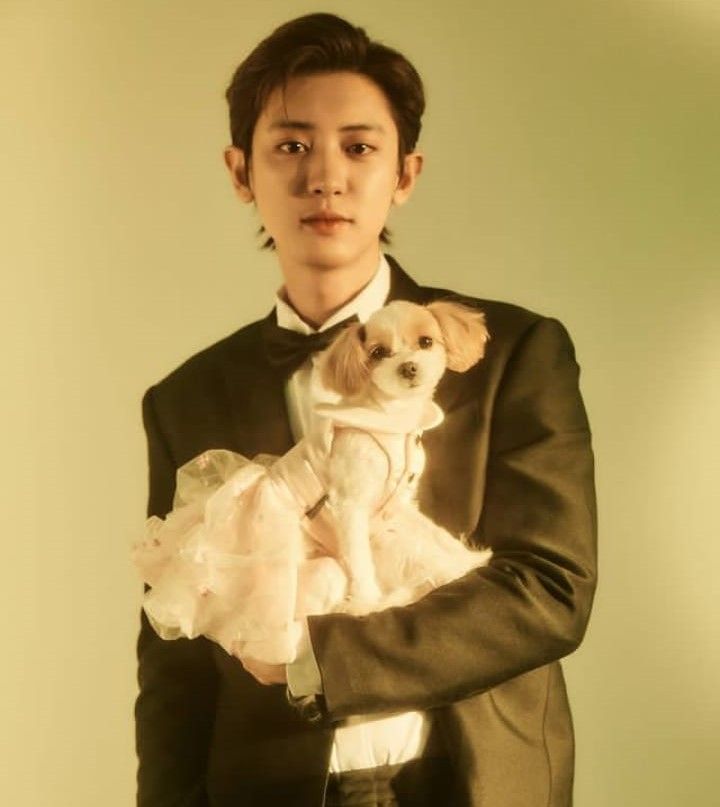 Park Chan-yeol.