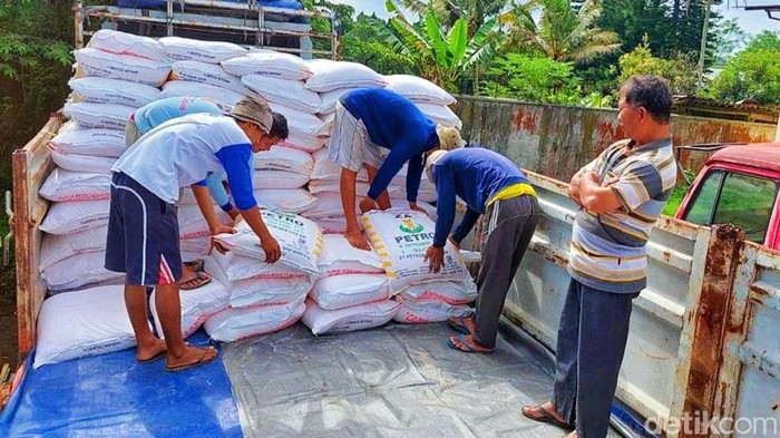 pupuk subsidi banyuwangi