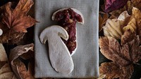 Penyajian menu di Noma terlihat artistik. Kalau ini menu aged deer tartare alias tartar dari daging rusa yang dilayukan. Penyajiannya bersama jamur.