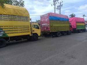 Polisi Setop 3 Truk Bawa 24 Ton Solar Subsidi di Sinjai, 7 Orang Ditangkap