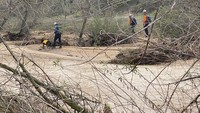 Dengan anjing pelacak, Tim SAR menyusuri sungai mencari bocah tersebut.