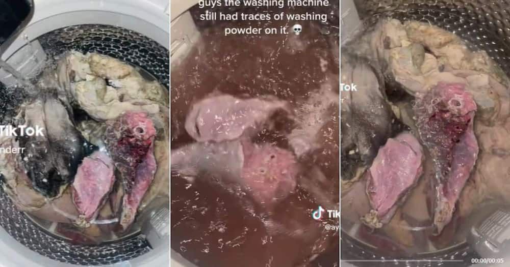Cuci Jeroan dan Masak Jeroan, Orang-Orang Ini Pakai Mesin Cuci