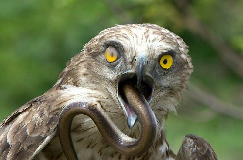 Foto menyeramkan bikin bergidik