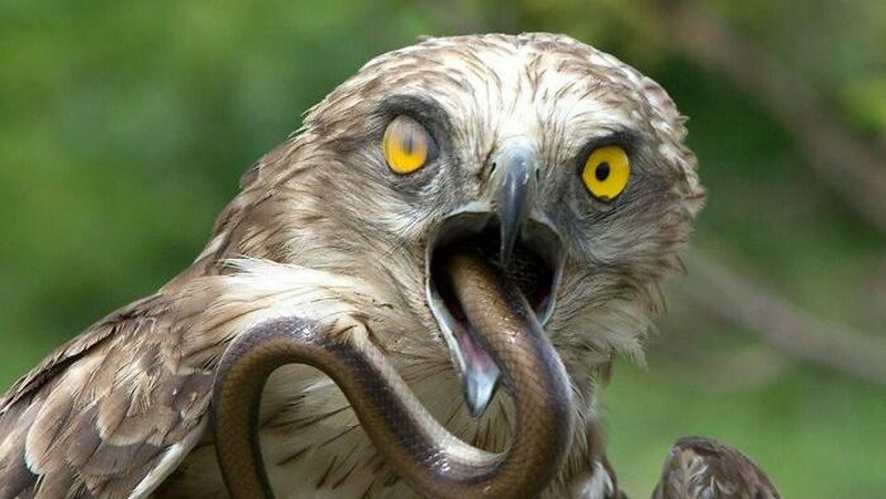 Foto menyeramkan bikin bergidik