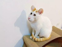 Foto menyeramkan bikin bergidik