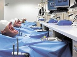 Deretan Foto Mengerikan Bikin Bergidik Melihatnya