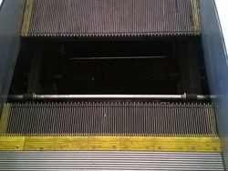 Deretan Foto Mengerikan Bikin Bergidik Melihatnya