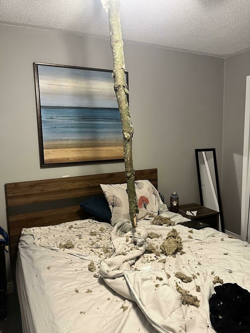 Foto menyeramkan bikin bergidik