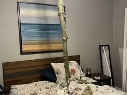 Deretan Foto Mengerikan Bikin Bergidik Melihatnya