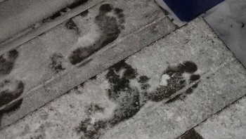 Saat menemukan jejak kaki misterius. Foto: Boredpanda