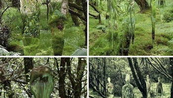 Patung Cermin Mencerminkan Hutan Oleh Artis Skotlandia Rob Mulholland Foto: Boredpanda