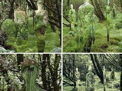 Deretan Foto Mengerikan Bikin Bergidik Melihatnya