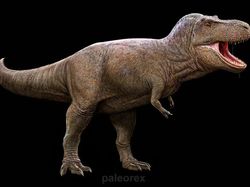 Wujud Hewan Prasejarah yang Sudah Lama Punah, Keren Tapi Menakutkan