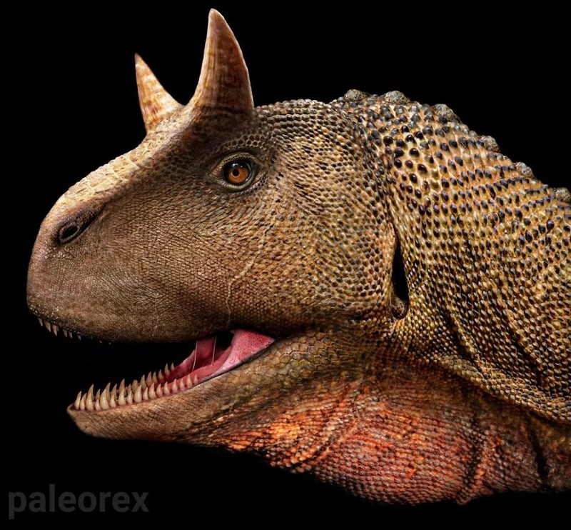 Hewan prasejarah yang telah punah