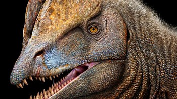 Carnotaurus adalah salah satu dinosaurus pemakan daging yang paling aneh di Zaman Kapur. Tengkoraknya pendek, dengan sepasang tanduk menonjol di atas matanya yang kecil. Leher dan tulang belikat berkembang dengan baik, tetapi lengannya sangat pendek, dengan lengan bawah yang sangat menyusut sehingga praktis hanya pergelangan tangan (bahkan Tyrannosaurus rex tidak memiliki lengan sekecil itu). Dengan tengkoraknya yang relatif kecil, Carnotaurus mungkin tidak mampu menyerang dinosaurus pemakan tumbuhan yang besar, tetapi ia mungkin adalah pemburu yang cepat, berkat kakinya yang panjang dan kekar. Dengan demikian, ia bisa dengan mudah mengejar mangsa yang lebih kecil dan gesit. Foto: Paleorex
