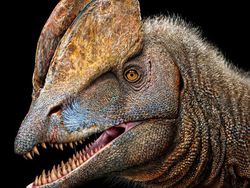 Wujud Hewan Prasejarah yang Sudah Lama Punah, Keren Tapi Menakutkan