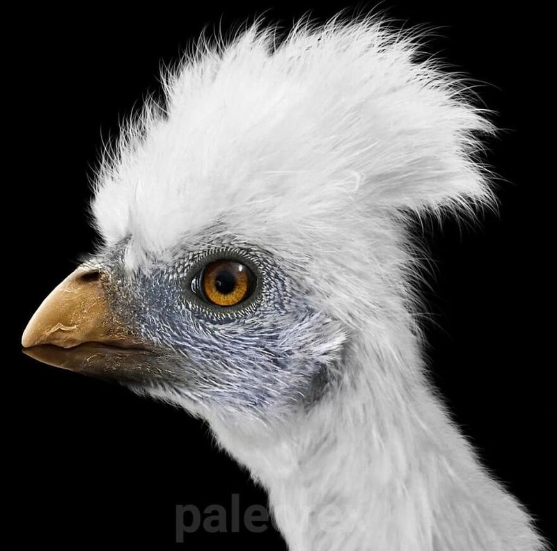 Hewan prasejarah yang telah punah