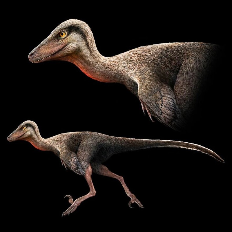 Hewan prasejarah yang telah punah