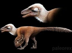 Wujud Hewan Prasejarah yang Sudah Lama Punah, Keren Tapi Menakutkan