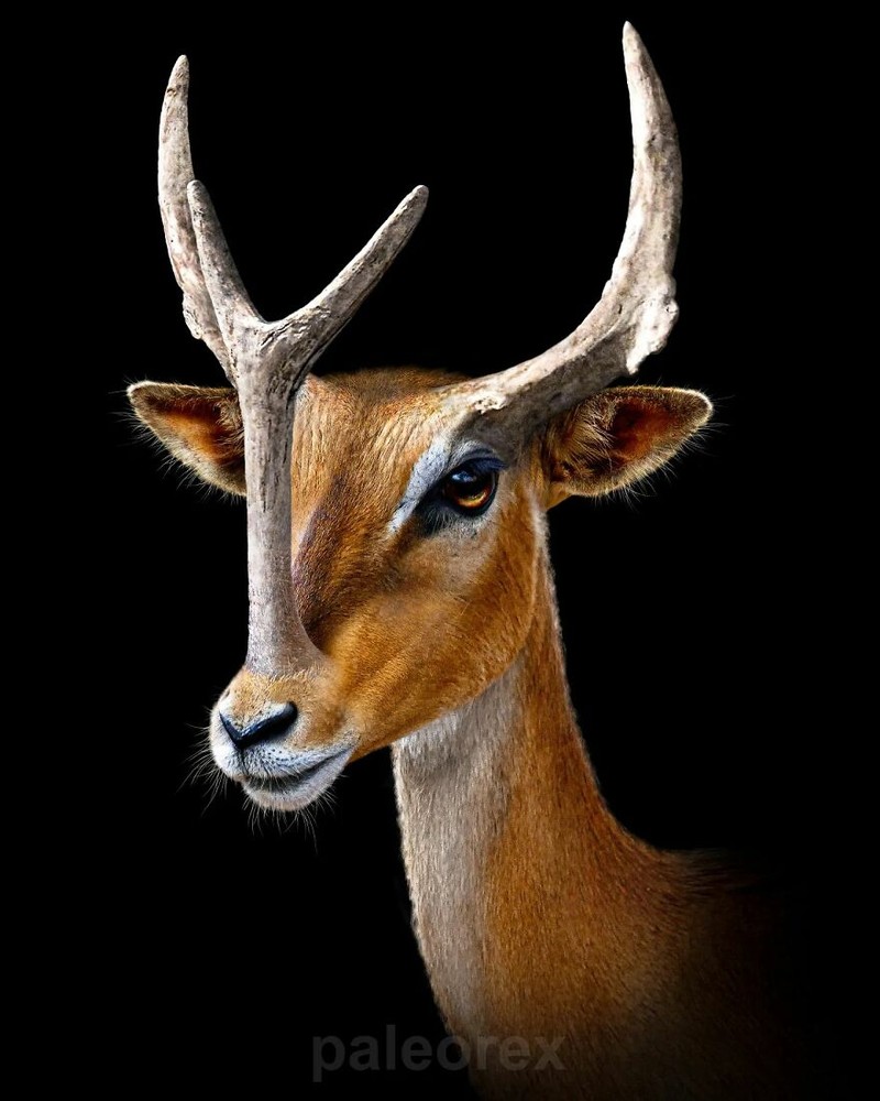 Hewan prasejarah yang telah punah