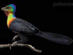 Wujud Hewan Prasejarah yang Sudah Lama Punah, Keren Tapi Menakutkan