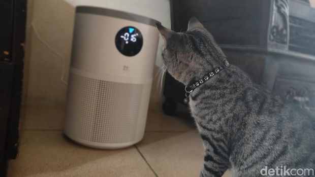 IT Smart Air Purifier S280