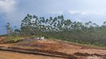 Lokasi Istana Presiden di IKN yang Mulai Dibangun Akhir Januari